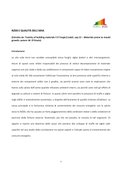 scarica il pdf