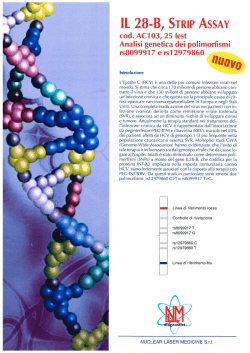 IL 28-B, STRIP ASSAY - Nuclear Laser Medicine srl