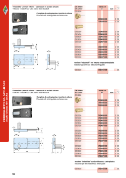 FERROGLIETTI DA APPLICARE multi throw rim locks