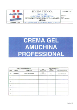 SCHEDA TECNICA 419500-TEC