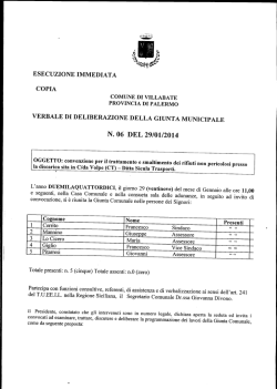 N.06 del 29/01/2014 - Comune di Villabate