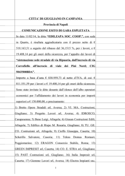Esito di gara strade via Ripuaria via Carrafiello etc.