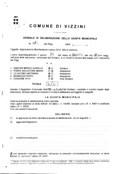 COMUNE DI VIZZINI