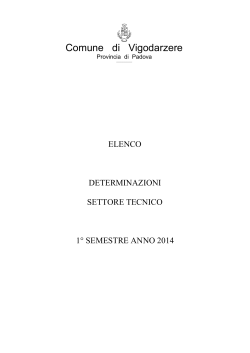 elenco DRS Settore Tecnico 1 semestre 2014