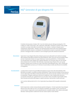 HiQ&reg; Generatori di gas idrogeno FID.
