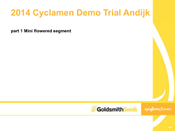 2014 Cyclamen Demo Trial Andijk