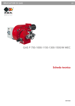 GAS P 750-1000-1150-1300-1500/M MEC