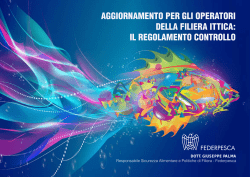 il regolAmento controllo