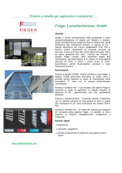 Fieger Lamellenfenster GmbH