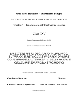 Documento PDF - AMS Tesi di Dottorato