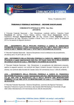 Tribunale Federale Nazionale – Sezione Disciplinare