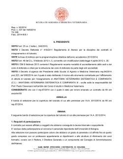 (fac - simile di bando per incarichi di insegnamento)