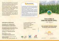 Il Consorzio “Formicoso Alta Irpinia" (F.A.l.) è una rete di