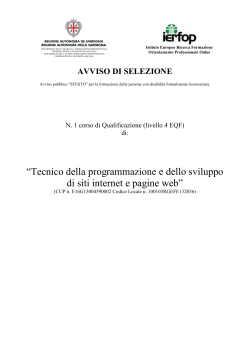 “Tecnico della programmazione e dello sviluppo di siti internet e