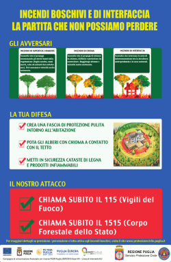 INCENDI BUSIINIIII E III INTEREIIIIIIIII III PARTITA DNE NON