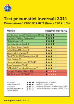 Test pneumatici invernali 2014