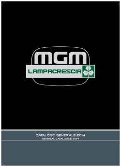 Guarda il catalogo