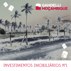 INVESTIMENTOS IMOBILI&Aacute;RIOS N&deg;1