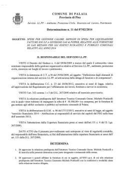 Determinazione n. 11 del 07/02/2014