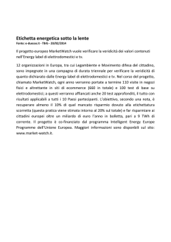 E-duesse.it: etichetta energetica sotto la lente - febbraio 2014