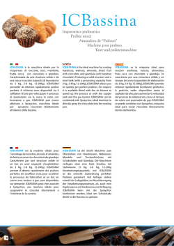 ICBassina - ICB Tecnologie