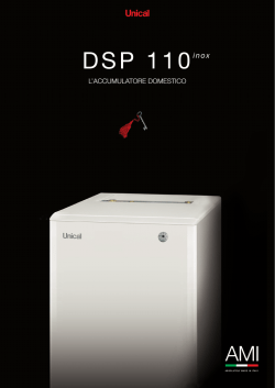 DSP 110inox