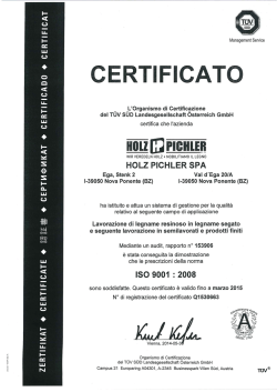 E - Holz Pichler AG