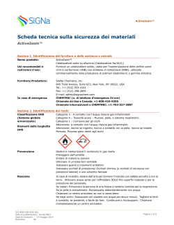 Italian Safety Data Sheet for Active Isom