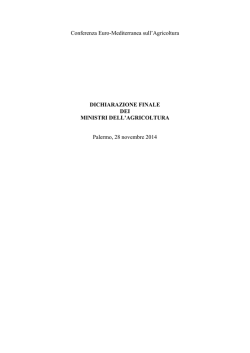 Draft-Final Declaration_IT_28_11