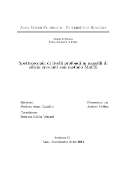 Documento PDF - AMS Tesi di Laurea