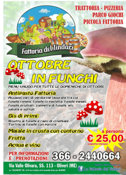 Ottobre in Funghi - FATTORIA DEL TINDARI