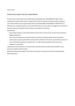 download esempio voci capitolato