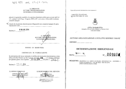 Determinazione Dirigenziale n. 981 del 09.07.2014