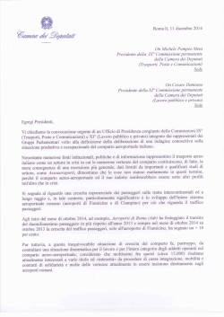 Indagine Conoscitiva Trasporto Aereo