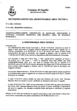 DETERMINA n. 11 del 19.05.2014 DI APPROVAZIONE