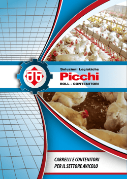 Untitled - Picchi snc