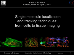 individual molecule localization