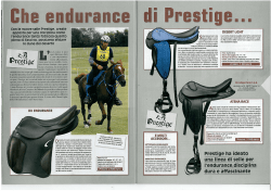 IL MIO CAVALLO Che endurance di Prestige