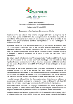 Documento sulla situazione del comparto risicolo