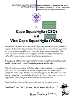 il Capo Squadriglia (CSQ) e il Vice Capo Squadriglia (VCSQ)