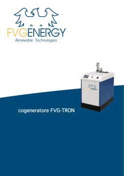 cogeneratore FVG-TRON