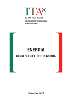 Nota sul settore energia in Serbia (745K)