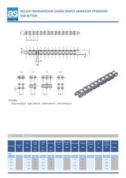 roller transmission chains simple american standard dsr