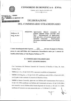 delibera n. 38 del 6.06.2014 - Consorzio di Bonifica 6 Enna