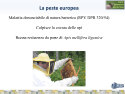 Peste Europea - Istituto Zooprofilattico Sperimentale delle Regioni