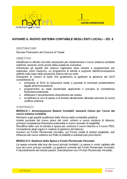 IL &ldquo;DECRETO SVILUPPO&rdquo; (L