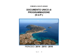 DOCUMENTO UNICO di PROGRAMMAZIONE (D.U.P.)