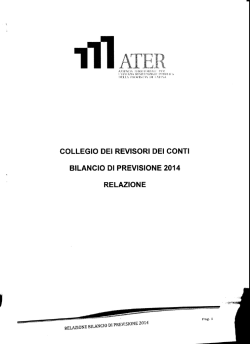 formato PDF (376 Kb)