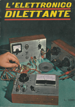 elettronico.dilettante