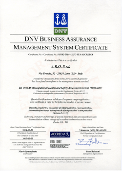 dnv business assurance management system certificate